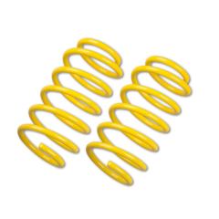 ST Tieferlegungsfedern